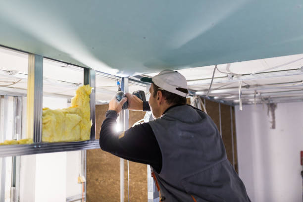 Best Commercial Insulation in Bogata, TX