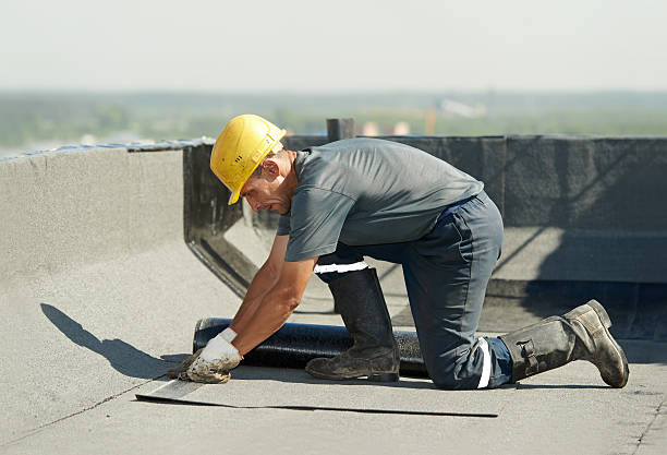 Best Specialty Insulation in Bogata, TX