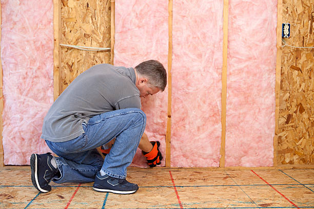 Best Types of Insulation in Bogata, TX