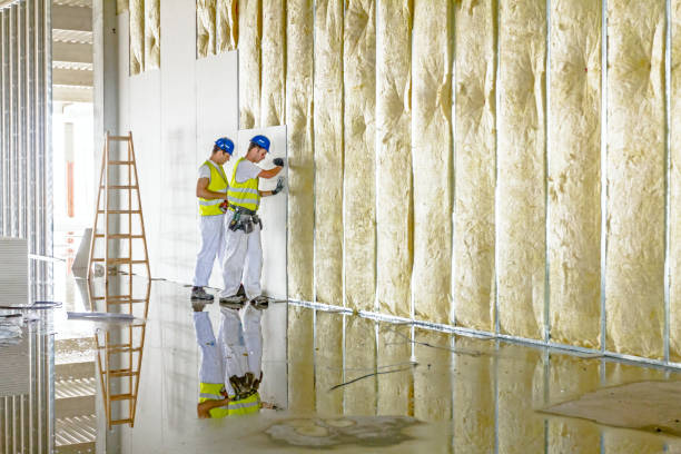 Best Types of Insulation in Bogata, TX